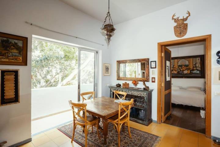 Frishman 2br Full Of Art And Light Tel Aviv